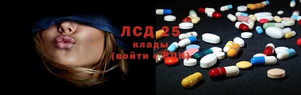 apvp Аркадак