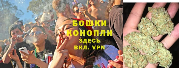 apvp Аркадак
