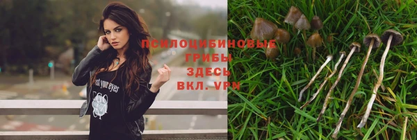 apvp Аркадак