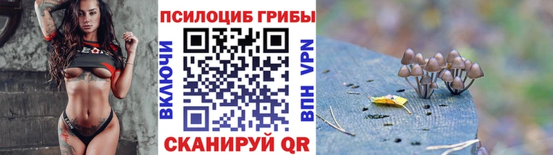 Купить где  Искитим  Псилоцибиновые грибы прущие грибы 